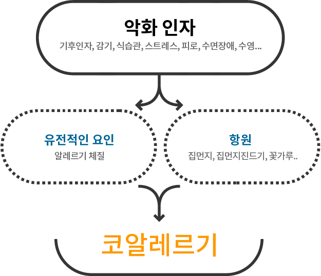 아토피의 원인